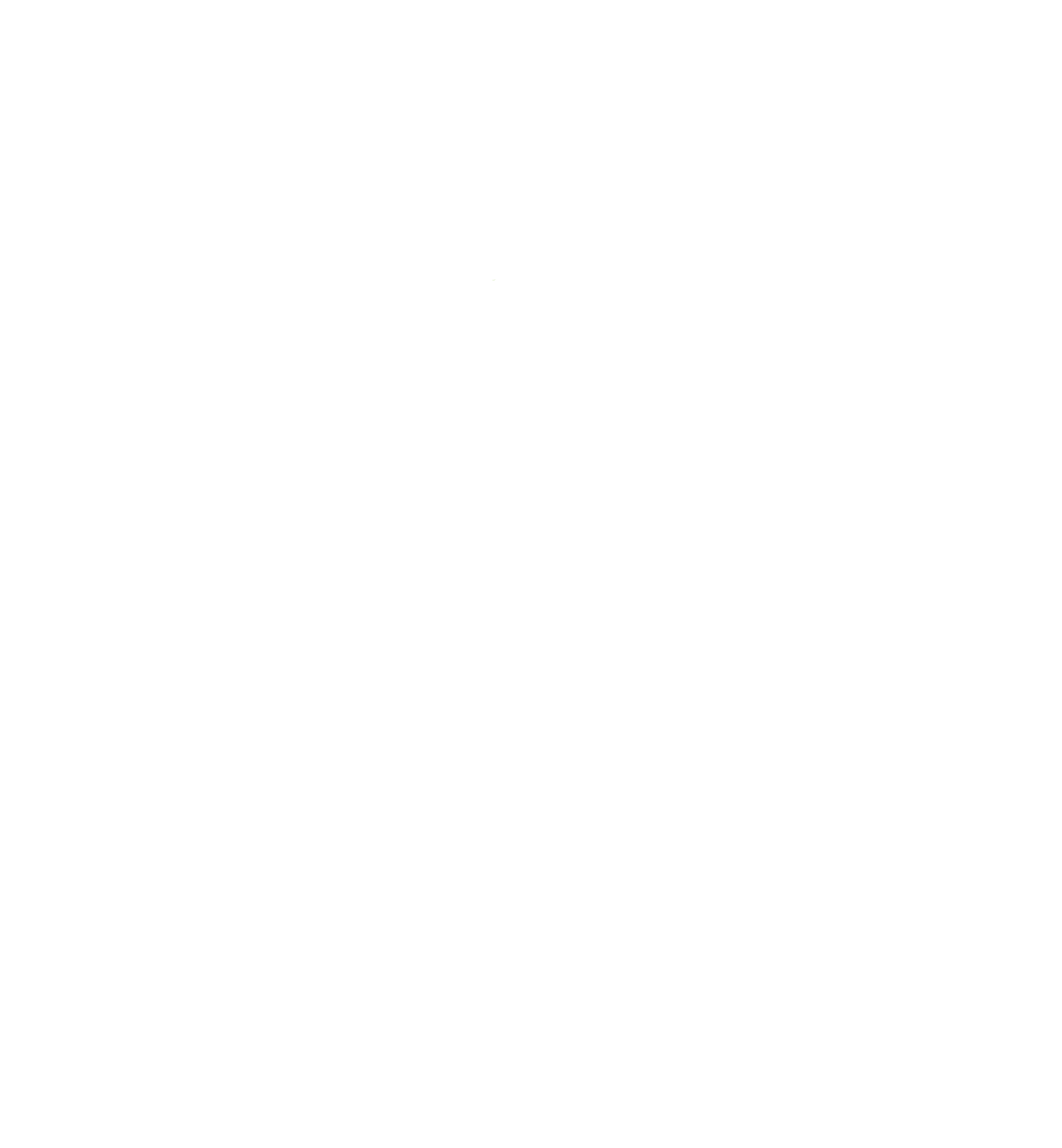 Fullname_globe_white_RGB Fullname_globe_white_RGB